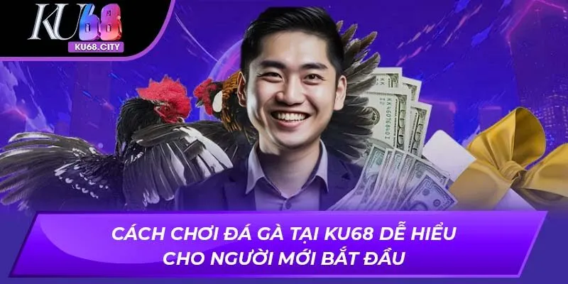 Cách chơi đá gà tại Ku68 dễ hiểu cho người mới bắt đầu
